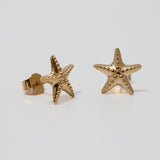 Boucles d'oreilles Nemo