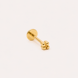 Piercing Pia