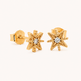 Boucles d'oreilles Théa